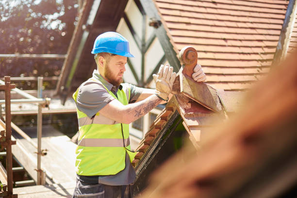 Best Roof Gutter Cleaning  in Villa Hills, KY